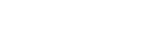 On The Fly Logo